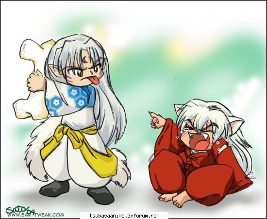 Inuyasha - si totusi mie imi place la nebunie inu, serialul - A+